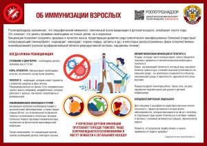 иммунизация взрослых